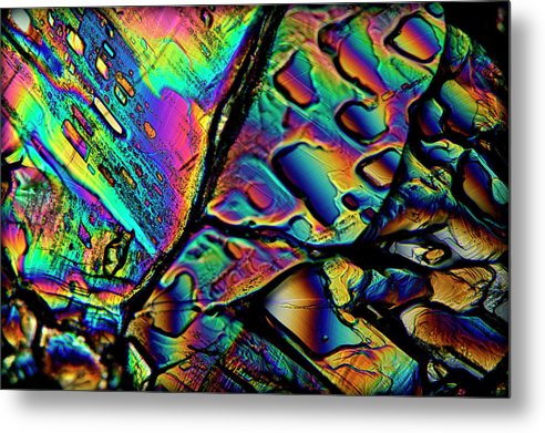 Blithe - Metal Print - S.E. Franklin Art