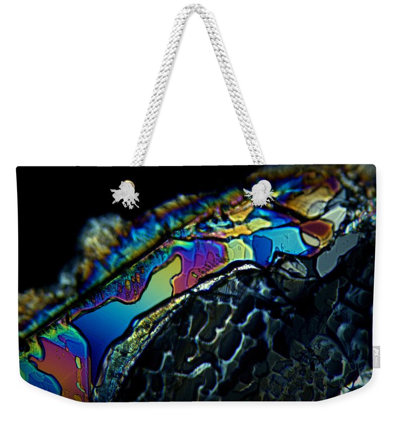 Motley - Weekender Tote Bag - S.E. Franklin Art