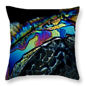 Motley - Throw Pillow - S.E. Franklin Art