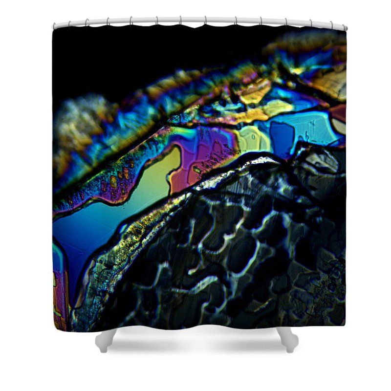 Motley - Shower Curtain - S.E. Franklin Art