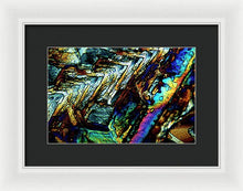 Load image into Gallery viewer, Sundry - Framed Print - S.E. Franklin Art