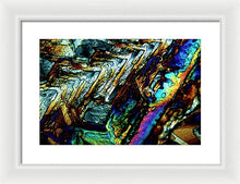 Load image into Gallery viewer, Sundry - Framed Print - S.E. Franklin Art