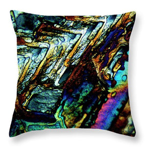 Sundry - Throw Pillow - S.E. Franklin Art